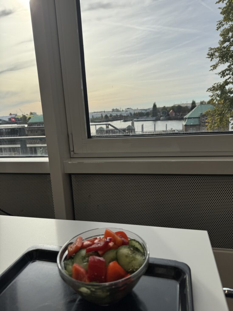 Salatschüssel auf Kantinen-Tablett vor dem Fenster. Aus dem Fenster zu erkennen: Elbe und die Dächer der Landungsbrücken